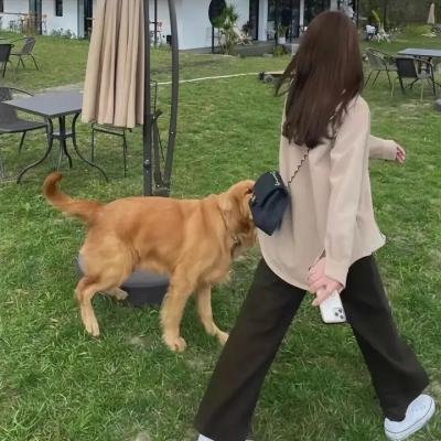 温暖的日子